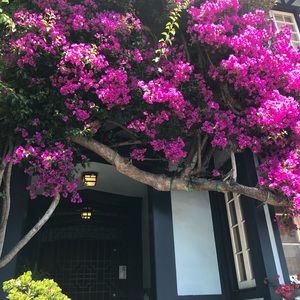 Meet your Posher, Shin yee